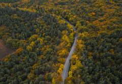 Iran’s Hyrcanian Forests: A Natural Museum