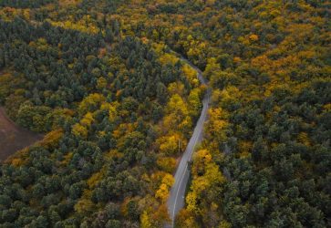 Iran’s Hyrcanian Forests: A Natural Museum