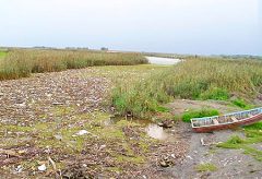 Anzali Wetland facing threat of drying up