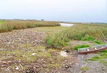 Anzali Wetland facing threat of drying up